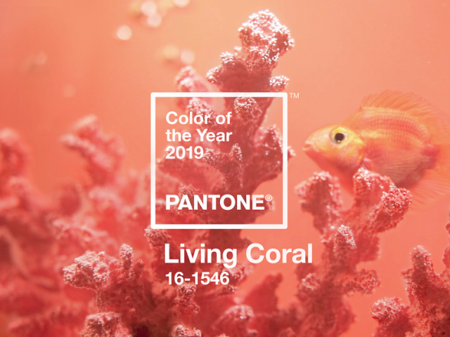 Colore Pantone 2019: seguire o non seguire le tendenze?